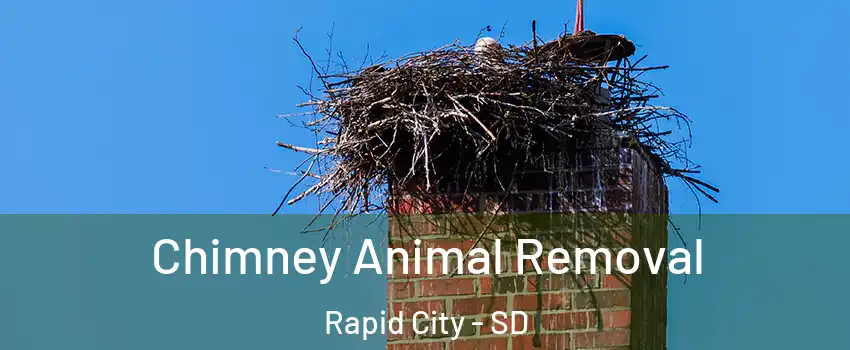 Chimney Animal Removal Rapid City - SD