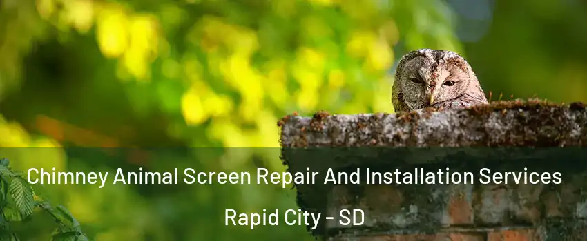  Chimney Animal Screen Repair And Installation Services Rapid City - SD