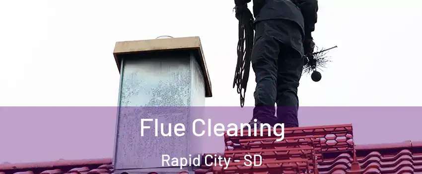  Flue Cleaning Rapid City - SD