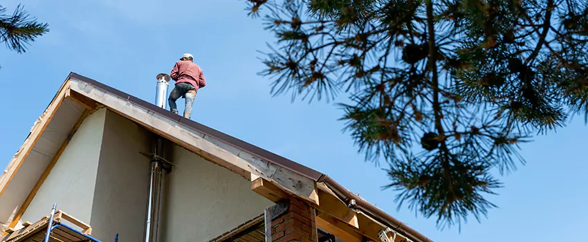 Birds Removal Contractors from Chimney in Rapid City, SD