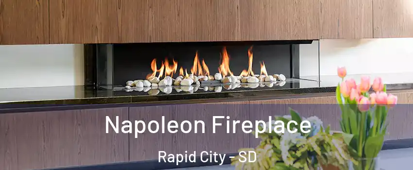  Napoleon Fireplace Rapid City - SD